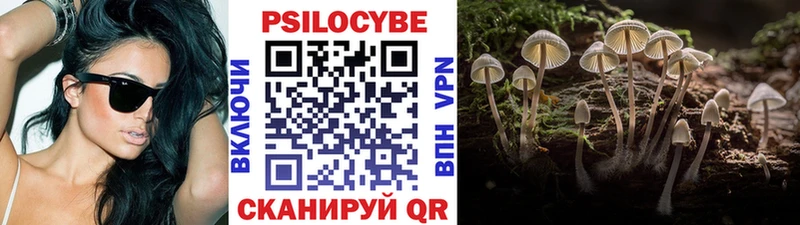 MEGA ТОР Энем Галлюциногенные грибы Psilocybine cubensis